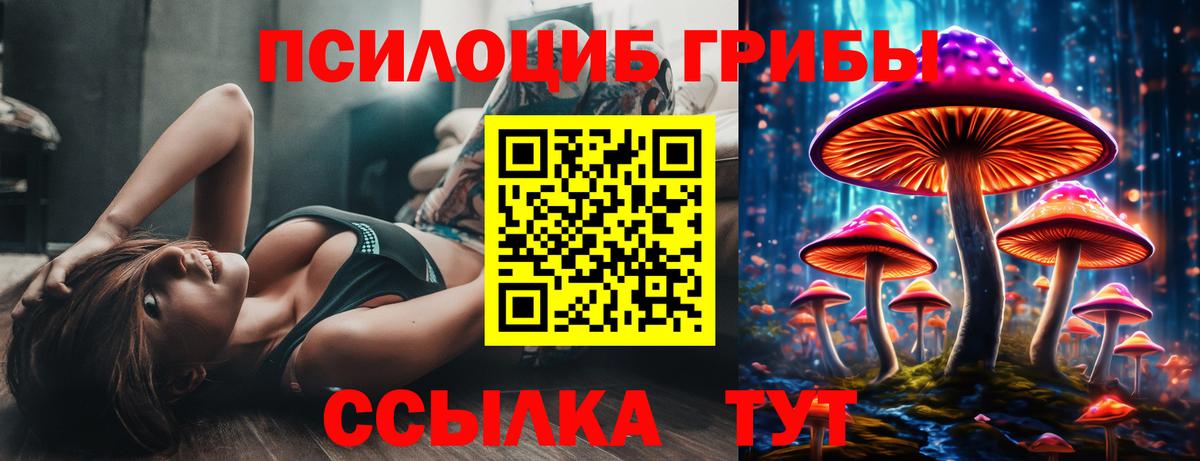 Псилоцибиновые грибы Psilocybine cubensis Видное